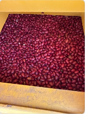 Beans 