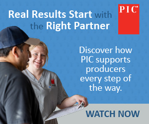 PIC 2025-2026