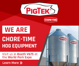 26-PIGTEK-101