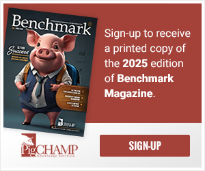 Benchmark 2025 Signup