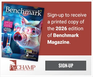 Benchmark 2026 Signup
