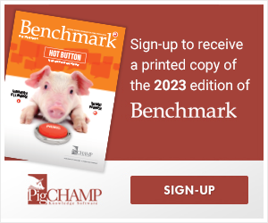 Benchmark 2023 Sign up