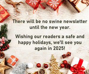 Happy Holidays - no newsletter until the new year