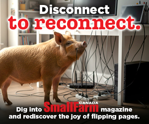 SFC Disconnect to Reconnect - Pig