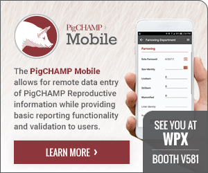 PigChamp - See You at WPX2025