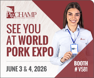 PigChamp - See You at WPX2026