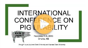 International Conference on Pig Livability