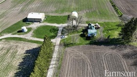 Cash Crop