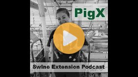 International conference on pig livability