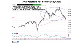 Hog futures chart
