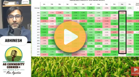 Did bears win Thanksgiving?