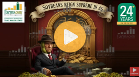 Making soybeans great again. And a fools gold?