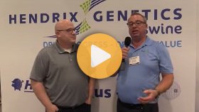 Hendrix Genetics Swine raises the bar