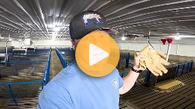 2,400 pigs just arrived, all the way from Canada