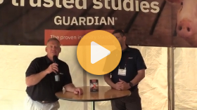 New solution powers efficient pork growth