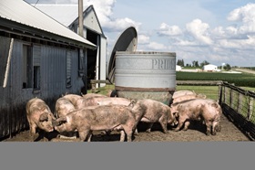 USDA backs small farms with new policy agenda