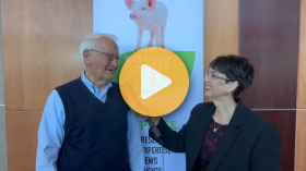 How the corn soy diet transformed swine nutrition