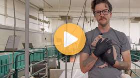 Day in the life of a barn manager