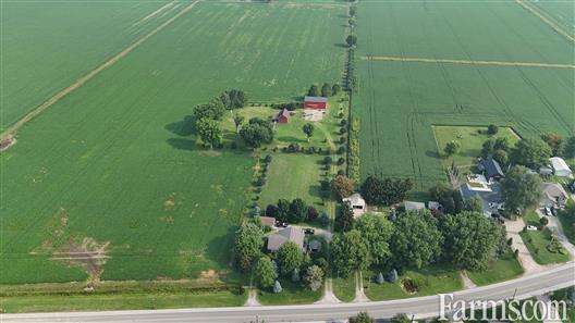 Cash Crop