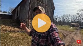 Making budget friendly pig feed