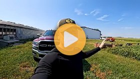 Nothing slows down on a pig farm