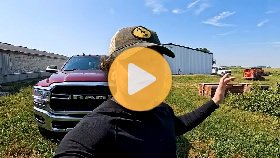 Nothing slows down on a pig farm
