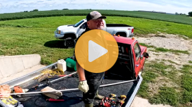 This is what pig farming really looks like