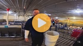 Our pigs weigh how much?