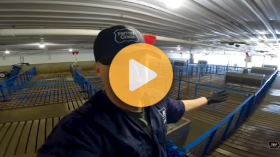 1,000 baby pigs arrive to the farm