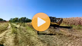 There is a whole barn buried under this field now