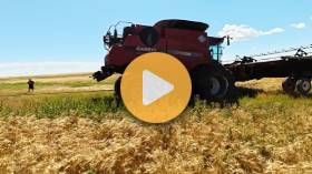 Stuck Combine