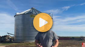 In the Grain Markets