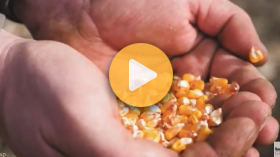 The Future of Crop Protection