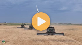 Wheat Harvest 2025 
