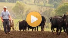 Checking in on a Neighbor