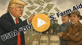 December Crop Report a Dud