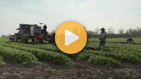 Farmers Working Through Labor Shortage