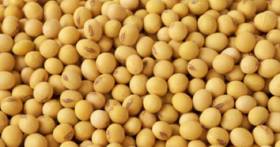 Key January Data May Shape Crop Prices