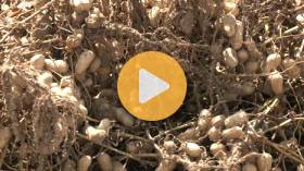 Farmers Faced Tight Margins