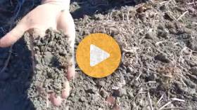 Testing Carbon Capture Methods