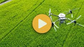 Continuous Crop Modeling