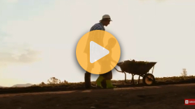 Proud to Be a Farmer