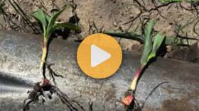 Building Yield from the Ground Up