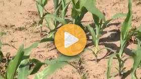 Growing Season Update
