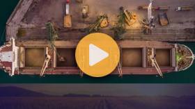 Grain Markets