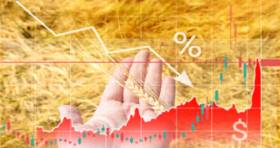 Grain Markets Slip After USDA Data Released