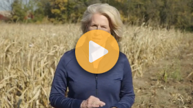 What Happens When the Government Reopens?