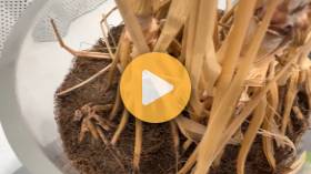 Will Regenerative Ag Really Transform Agriculture?