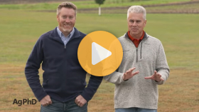 Turning Excess Minerals Into Salts