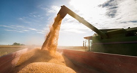 AFBF Asks President Trump for Diesel Relief